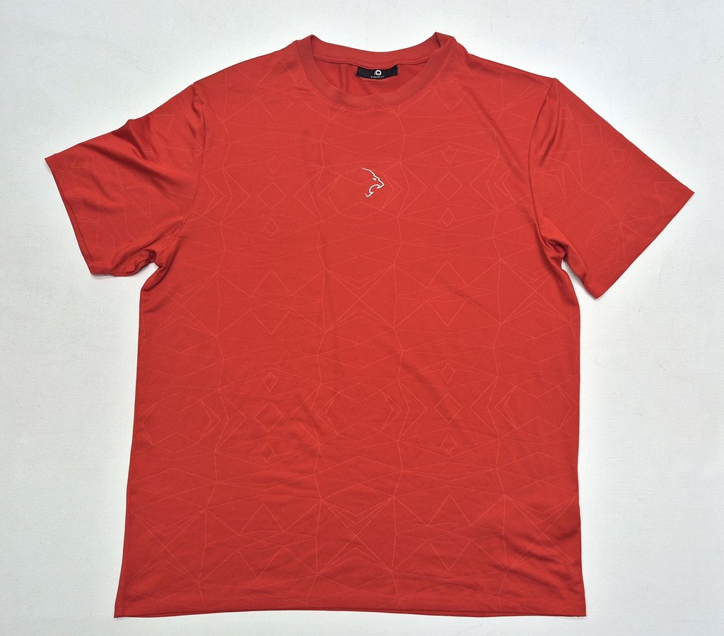 Футболка мужская  REGULAR FIT, фото 1