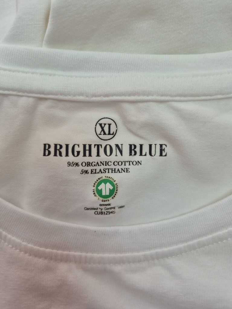 Футболка мужская BRIGHTON BLUE, фото 3