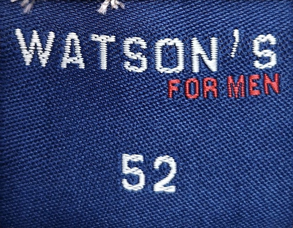 Брюки мужские  WATSON S, фото 3