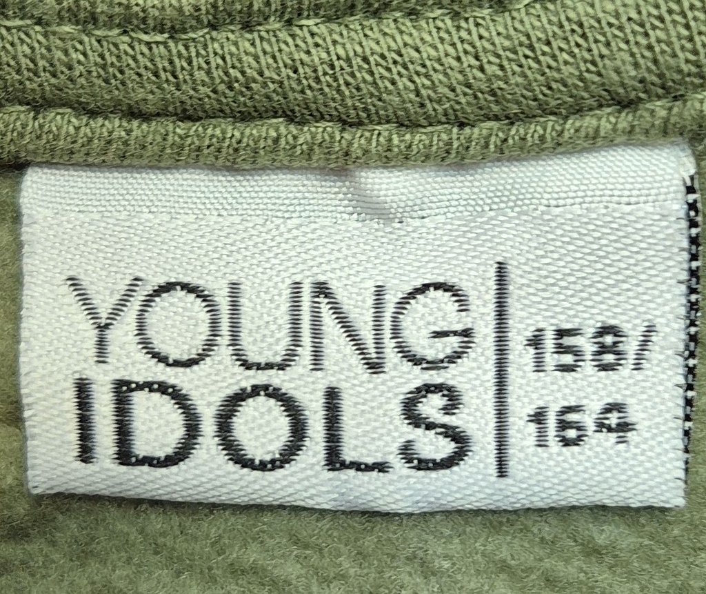 Толстовка детская YOUNG IDOLS, фото 3