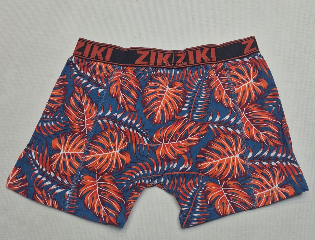 Трусы детские ZIKI, фото 2